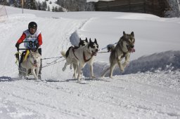 Kandersteg 2013